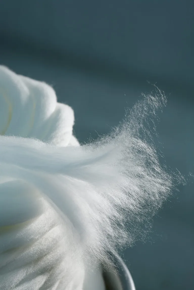 Die Lyocellfaser von Lenzing.