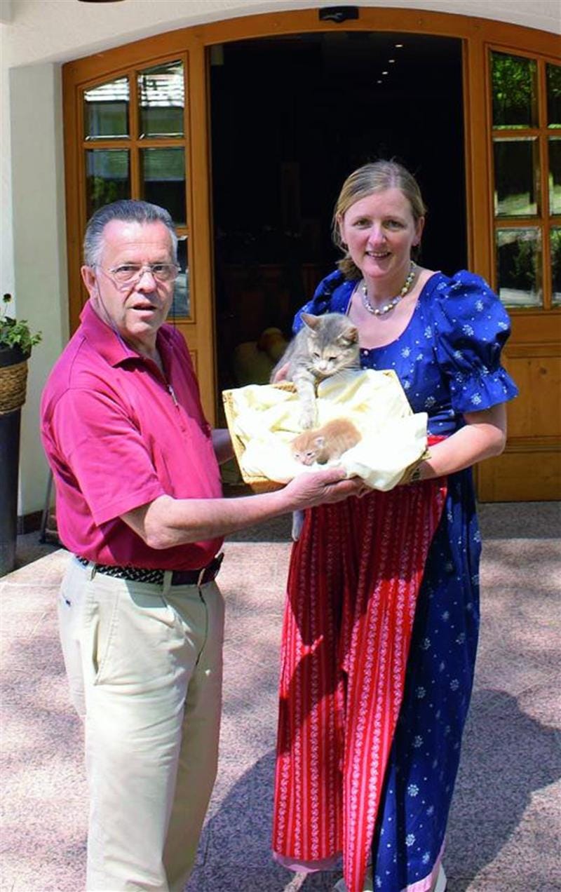 Rettung für kleinen Hoteltiger