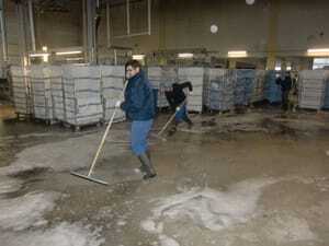 Vor acht Jahren brannte die W&auml;scherei Greif in Augsburg