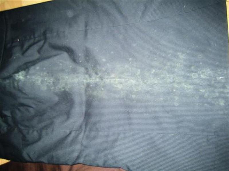 Schimmel auf Kleidung: Betroffen sind mehrere Bekleidungsstücke.