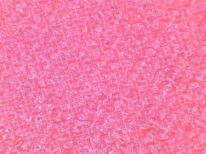 Aufgequollene Beschichtung