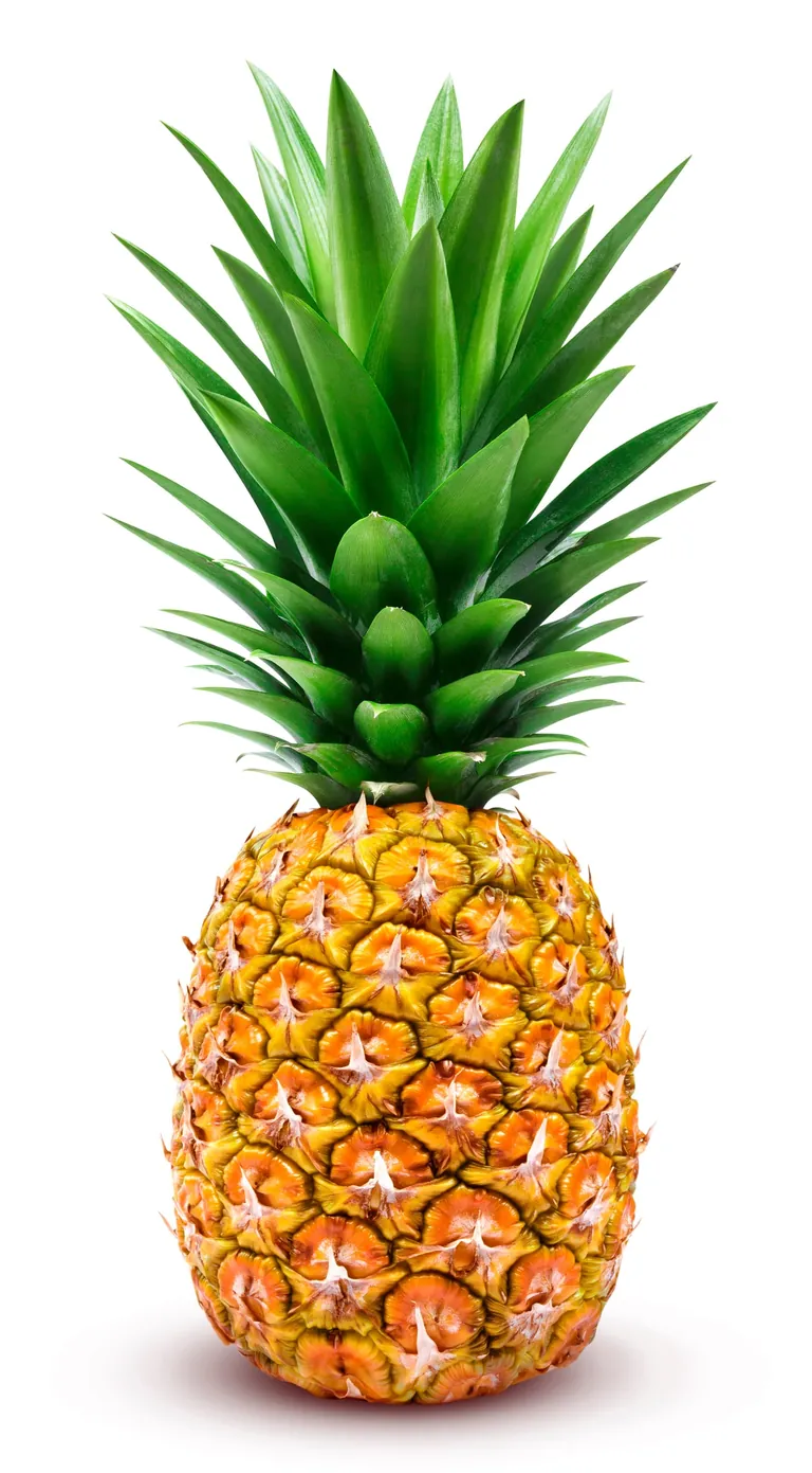 Textilfasern aus Ananas