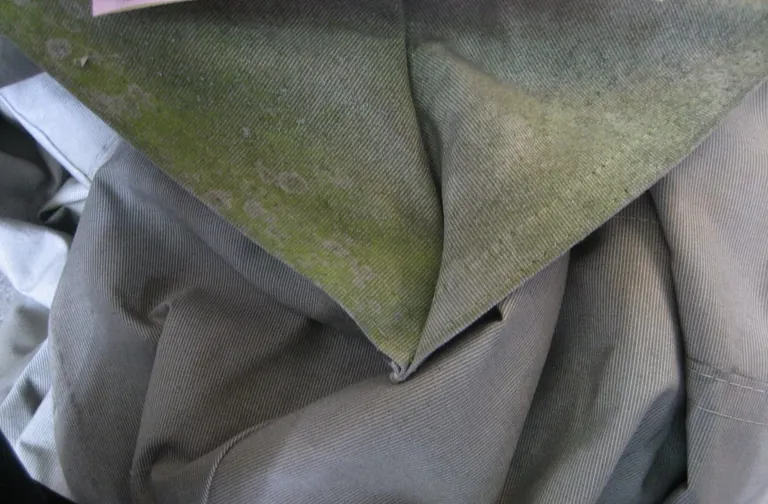 Selbst Stockflecken und Moosbildung k&ouml;nnen unter Einsatz der richtigen Chemie wieder entfernt werden.