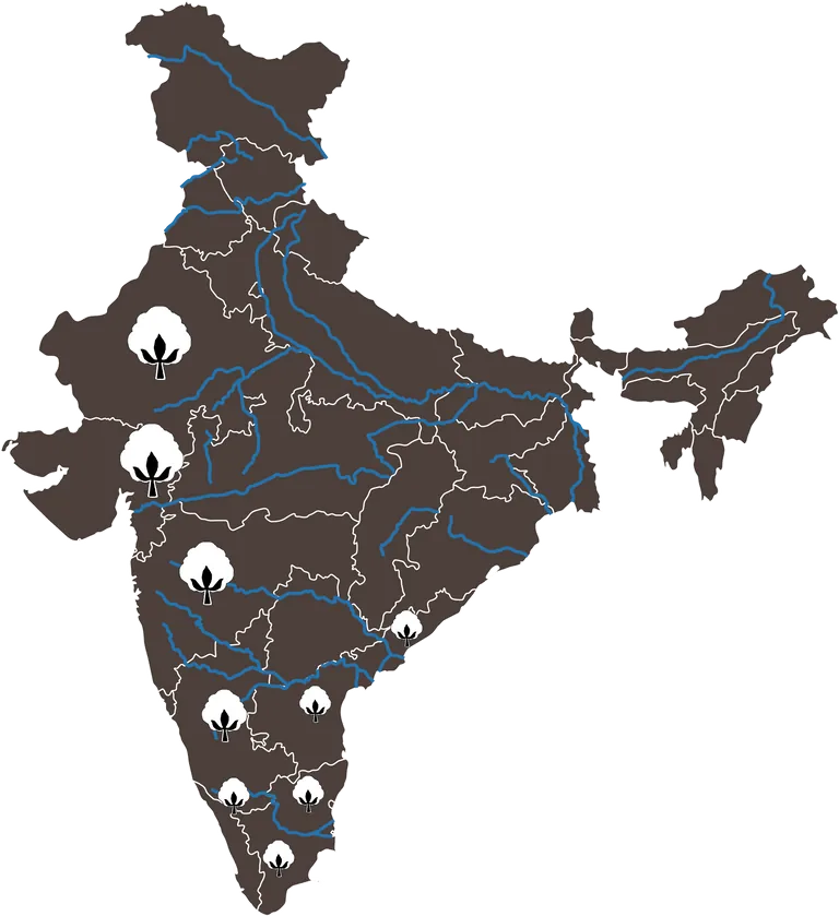 Auszug aus dem Jahresbericht 2022 der Bremer Baumwollbörse: Die Karte zeigt den Baumwollanbau in Indien.
