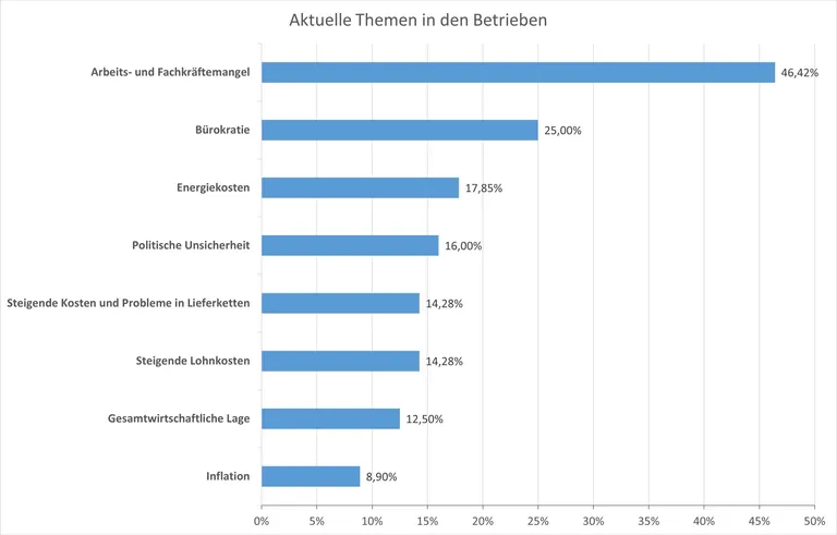 DTV-Gesch&auml;ftsklima: Diese Themen besch&auml;ftigen die Unternehmen.