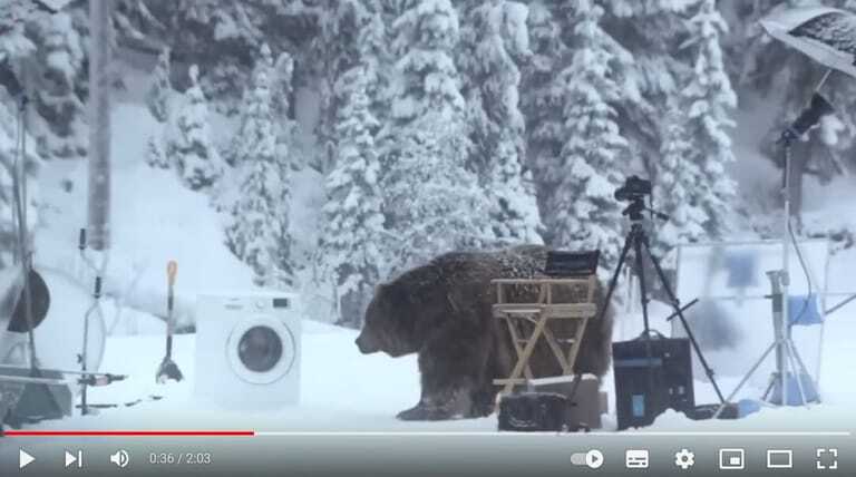 Screenshot des Youtube-Videos "Bär und Waschmaschine"