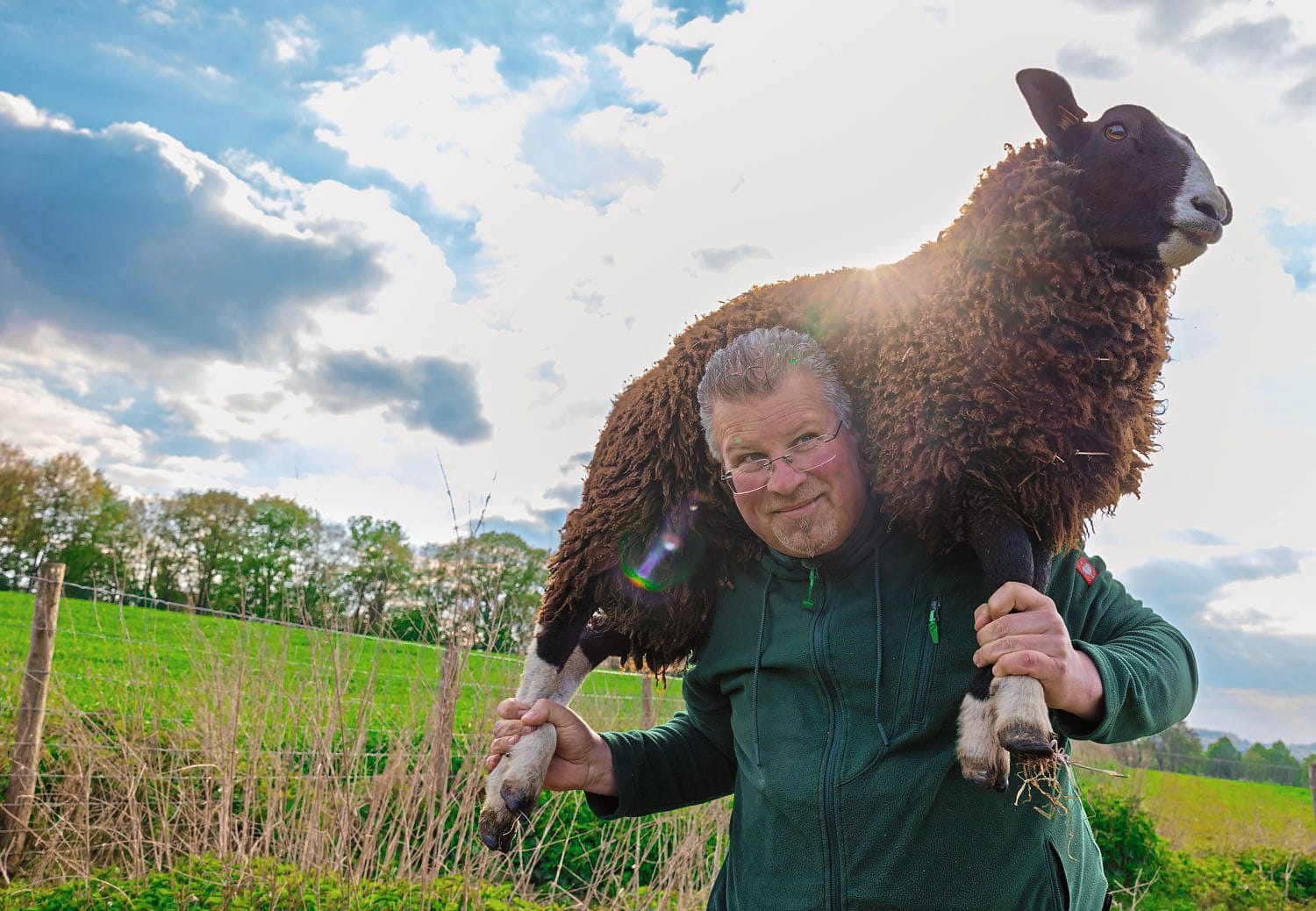 Rainbow Wool: Feinste Wolle von schwulen Schafen