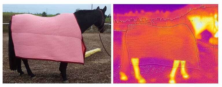 Abschwitzdecke im Praxistest (links), das Infrarotbild zeigt die &shy;Verdunstungsk&uuml;hlung. 