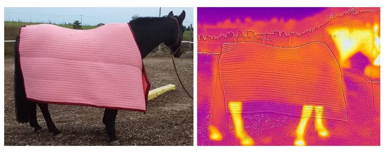 Abschwitzdecke im Praxistest (links), das Infrarotbild zeigt die &shy;Verdunstungsk&uuml;hlung. 