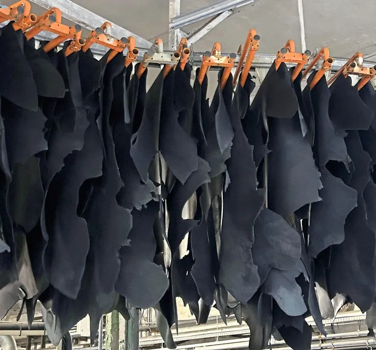 Zum Trocknen werden die Lederstücke aufgehängt.