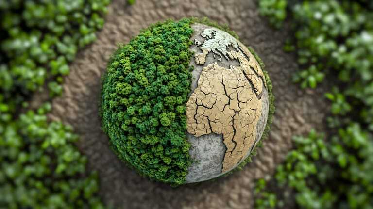 Weltkugel mit zwei H&auml;lften: eine Seite zeigt &uuml;ppigen gr&uuml;nen Wald, die andere trockene, rissige Erde &ndash; Symbolbild f&uuml;r den Kontrast zwischen intakter Natur und Umweltzerst&ouml;rung im Kontext von Klimawandel und Umweltschutz.