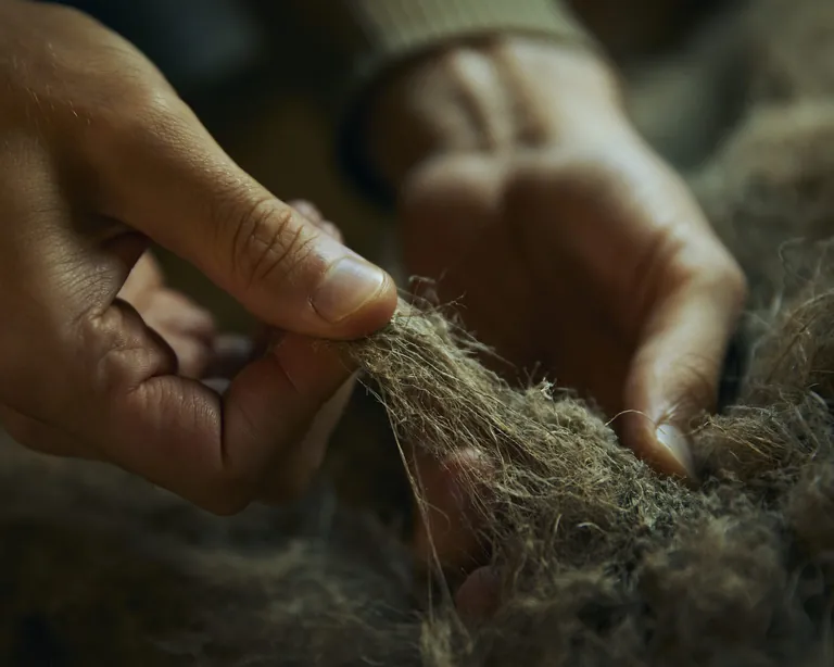 Hanffasern im Betrieb des Startups Revoltech