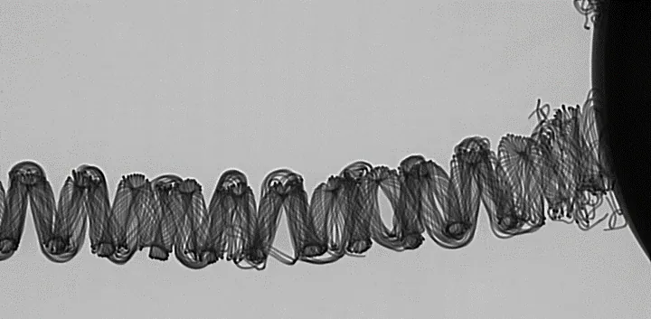 Nanoleq (elastischer Hybridleiter) – Ergebnisse nach Waschversuchen: X-ray.